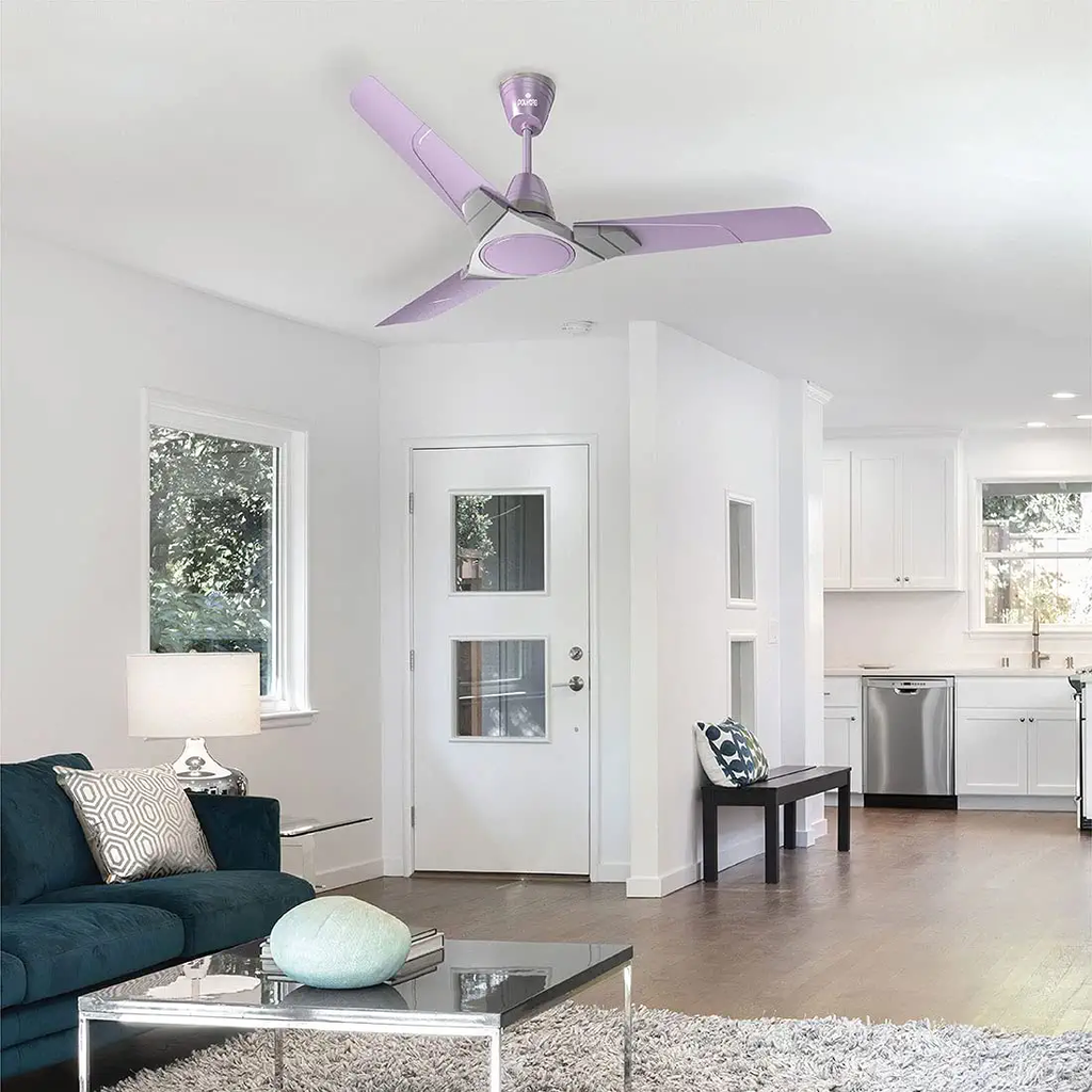 a Purple colour fan with living room in backgroung