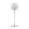 Bajaj Shield Series Robusto High Speed 400mm Pedestal Fan (Beige & White)